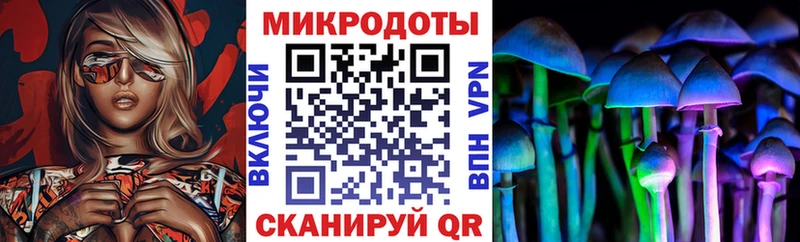 Купить закладки  Касимов  Псилоцибиновые грибы Psilocybe 
